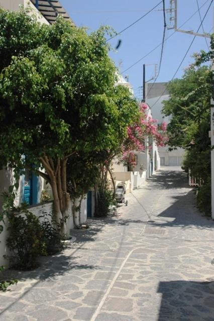 Hotel Anixis Resort Naxos City ภายนอก รูปภาพ